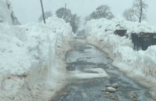 Easter Stages Rally Cancelled